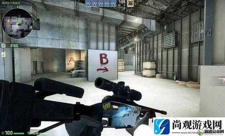 暴躁老姐 CS-GO 心得分享：游戏技巧与感悟全揭秘